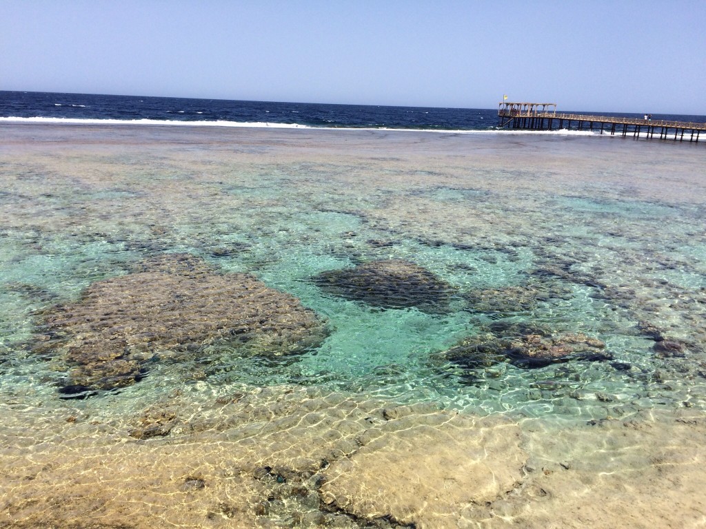 Mar rosso El Quseir 